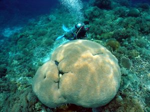 Kata Rocks Superyacht Rendezvous
