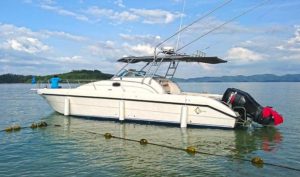 SILVERCRAFT 33ft