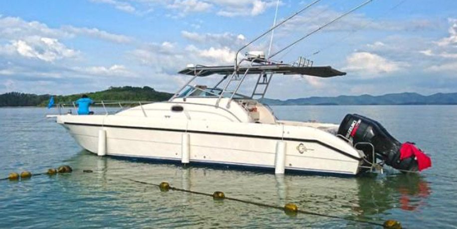 SILVERCRAFT 33ft